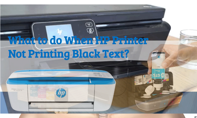 hp printer not printing
