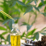 CBD Oil for ADHD in Adults and kids: Is it Effective?