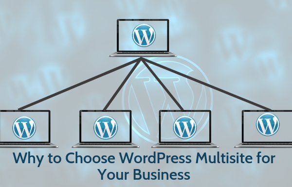 Why to Choose WordPress Multisite for Your Business