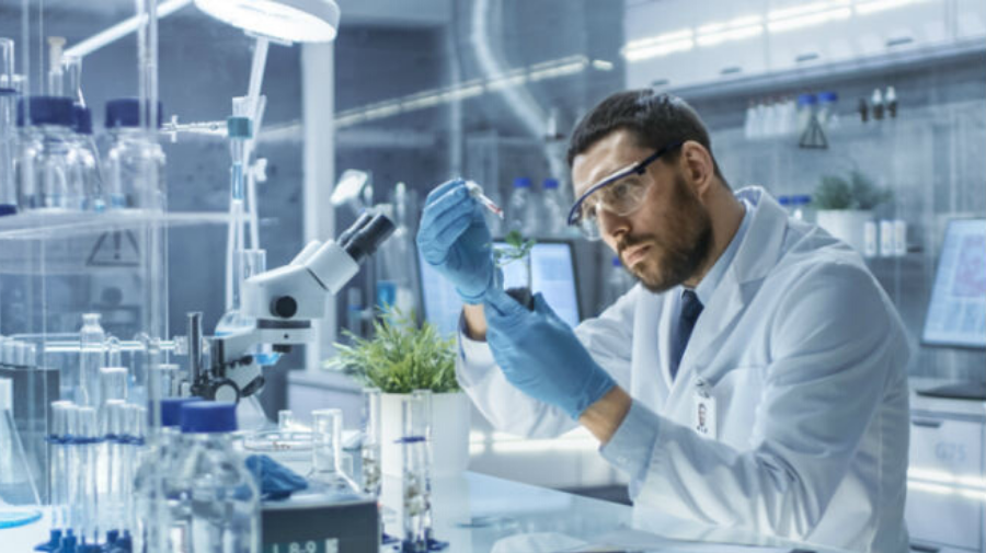 weed research lab