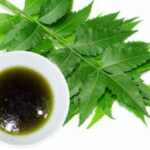Get Neem Oil to Safeguard & Refine Plant Life from Insects 