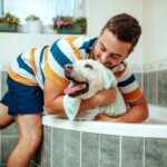 How to Bathe Your Dog at Home