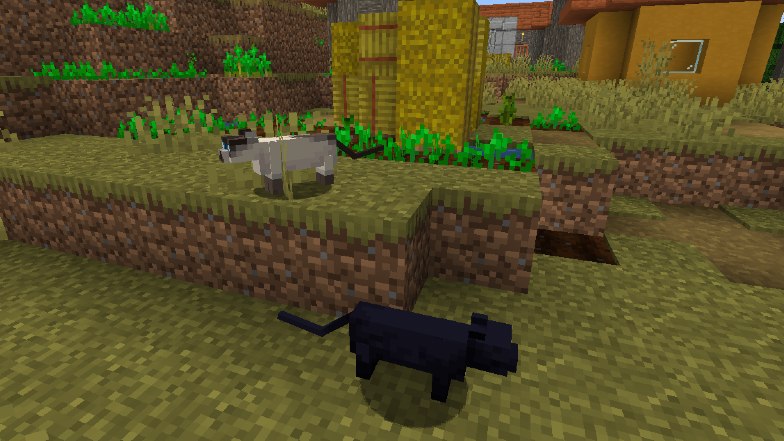 How to tame a cat in Minecraft