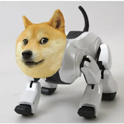 Doge Bot