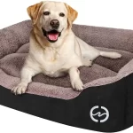 4 Common Mistakes to Avoid When Buying a Dog Bed