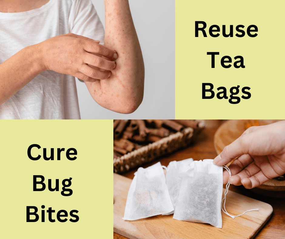 cure bug bites with used tea bags
