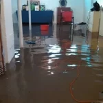 The Importance of Hiring a Professional Flood Damage Restoration Company